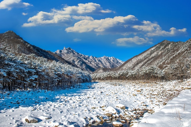ladakh